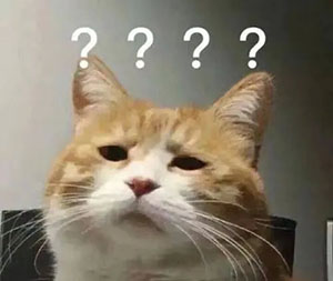 工作比較|疫苗CRA和藥物CRA，你選擇哪個？