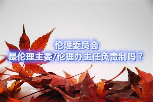 倫理委員會是倫理主委/倫理辦主任負責(zé)制嗎？(圖1)