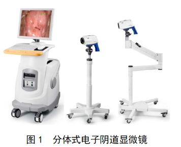 電子陰道顯微鏡注冊技術(shù)審查指導(dǎo)原則(2018年第15號)(圖1) 電子陰道顯微鏡注冊技術(shù)審查指導(dǎo)原則(2018年第15號)(圖1)