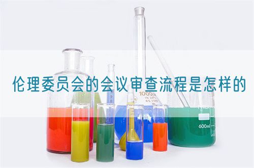 倫理委員會的會議審查流程是怎樣的(圖1)