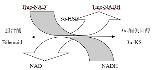 總膽汁酸測(cè)定試劑注冊(cè)技術(shù)審查指導(dǎo)原則(2020年第14號(hào))(圖1) 總膽汁酸測(cè)定試劑注冊(cè)技術(shù)審查指導(dǎo)原則(2020年第14號(hào))(圖1)