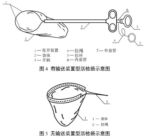 一次性使用內(nèi)窺鏡用活檢袋注冊審查指導(dǎo)原則(2025年第20號)(圖4) 一次性使用內(nèi)窺鏡用活檢袋注冊審查指導(dǎo)原則(2025年第20號)(圖4)
