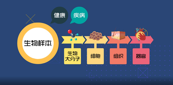 淺談CRC生物樣本管理！生物樣本采集、處理、存儲(chǔ)、運(yùn)輸全過程注意事項(xiàng)(圖1)