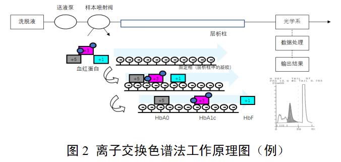 糖化血紅蛋白分析儀注冊審查指導(dǎo)原則(2022年第35號)(圖2) 糖化血紅蛋白分析儀注冊審查指導(dǎo)原則(2022年第35號)(圖2)